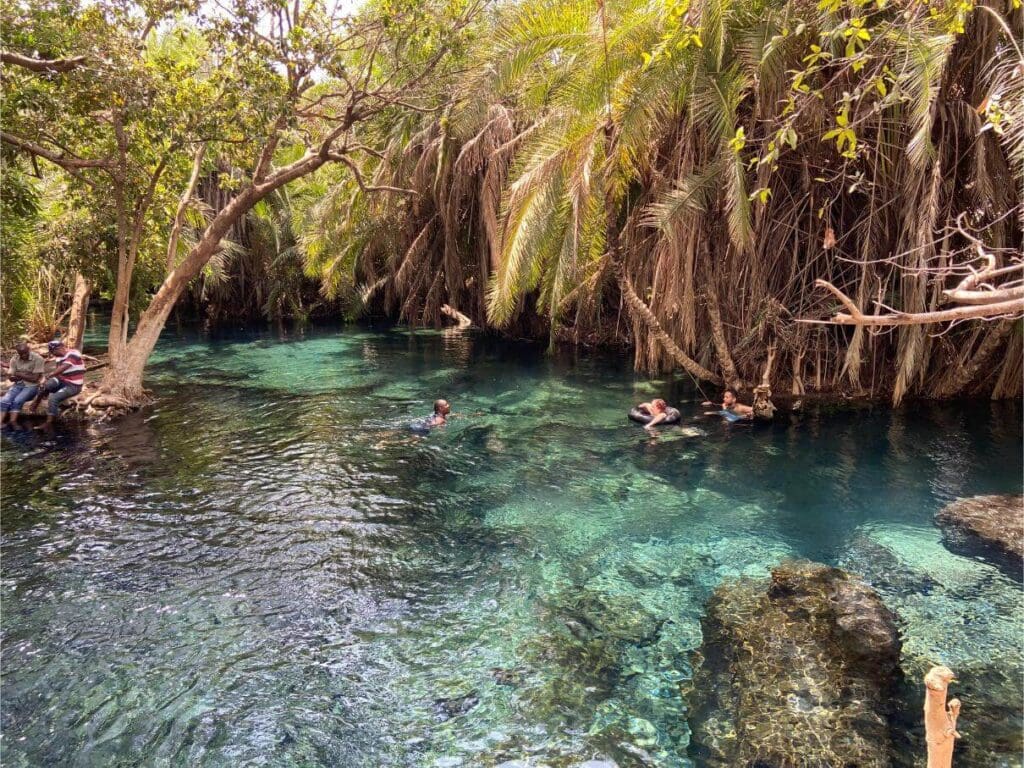 morning: your guide will pick you up from your accommodation in moshi or arusha and drive you to the picturesque hotspring kikuletwa, also known as chemka hot springs, day hot spring
