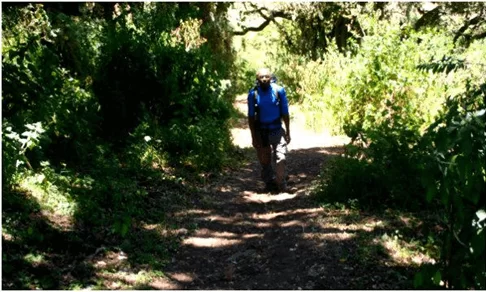 your day starts off with a 2-hour drive to nainokanoka village where you will be based tonight, day olmoti crater trek