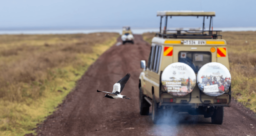 you will be picked up at your hotel in arusha at 0800hrs and transferred to the arusha national park to start off your game viewing experience in tanzania’s smallest but most beautiful park in the northern circuit