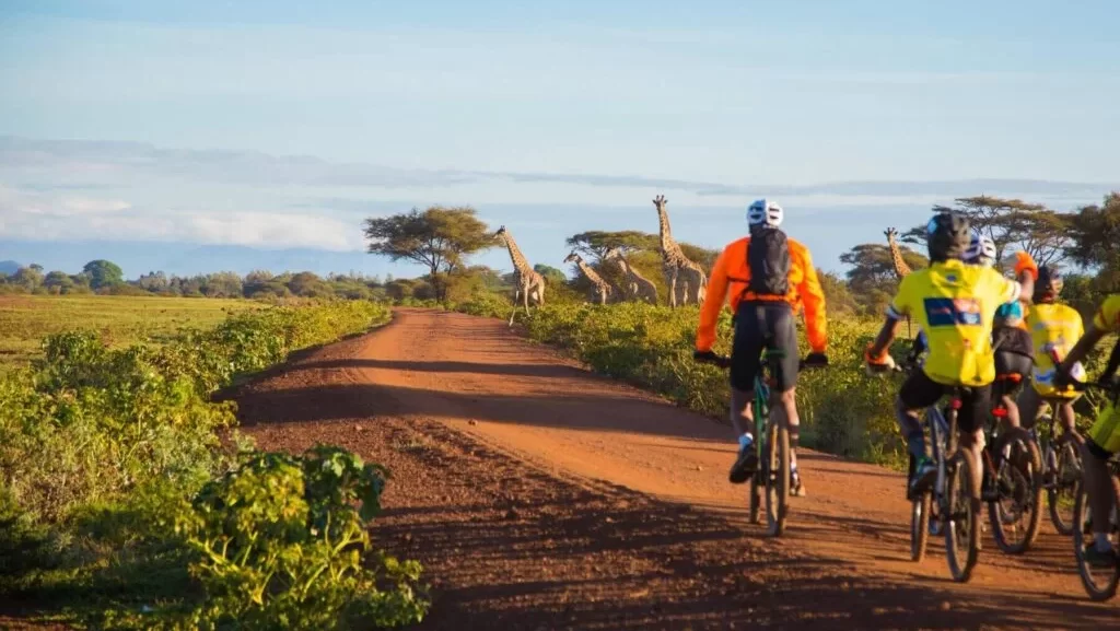 top cycling routes and destinations in tanzania, kili indian profile picture