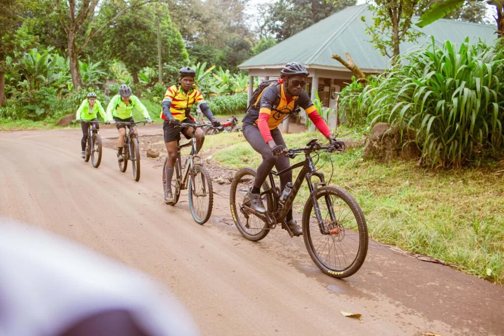 a day off the bikes and into the wildnerness of tanzania in the morning at 07:00am after your breakfast you will start driving heading to mkomazi national park the house of rhinos and wild dogs, kili indian saadani to bagamoyo