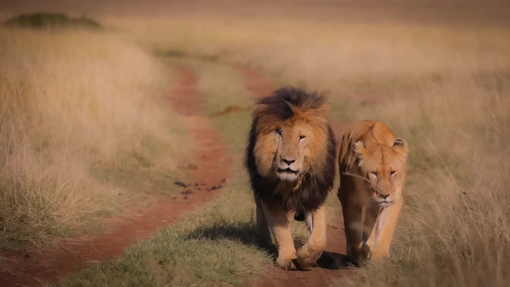 Serengeti-NP-14-1-1024x576