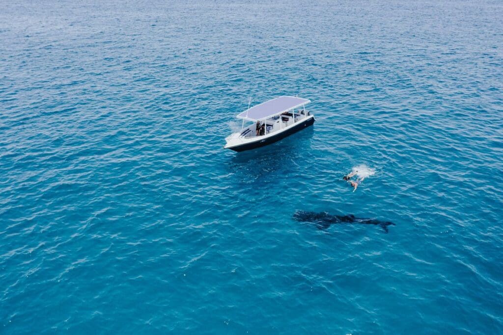 welcome to zanzibar, the island of spices, turquoise waters, and rich cultural heritage! upon arrival at zanzibar international airport, a private transfer will take you to your hotel in the bustling stone town, zanzibari