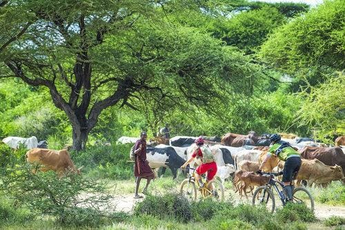 cultural and practical tips for traveling in tanzania, image3