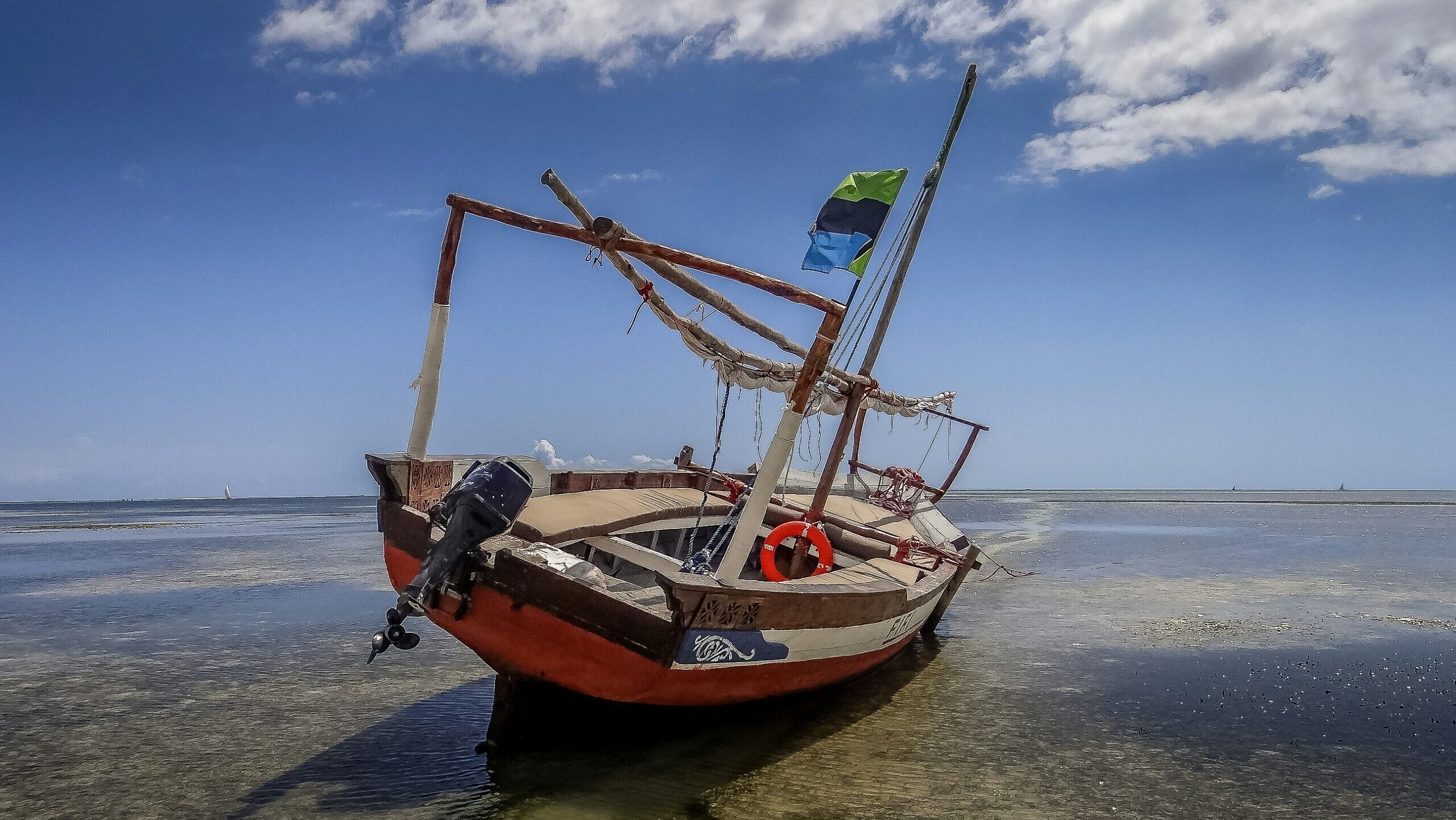 eco-tourism and conservation efforts in tanzania’s islands, lidia stawinska unsplash scaled
