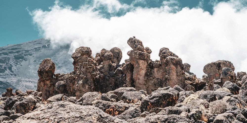 KILI SUMMITERS 2024